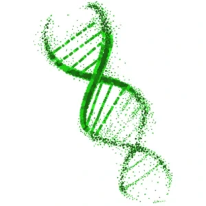 DNA helix representing cellular and mitochondrial peptide research