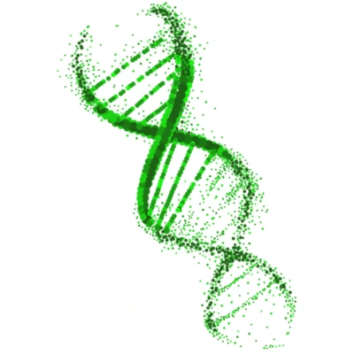DNA helix representing cellular and mitochondrial peptide research